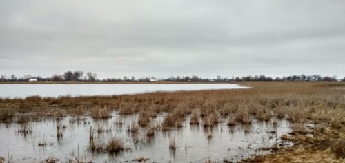 Озеро «Сверинець» у Волинській області
