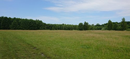 Озеро «Сверинець» у Волинській області