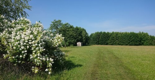 Озеро «Сверинець» у Волинській області