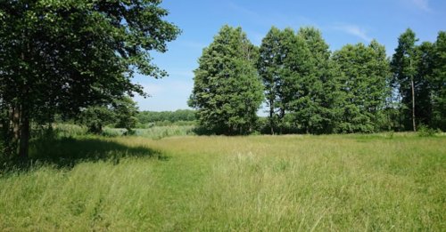 Озеро «Сверинець» у Волинській області
