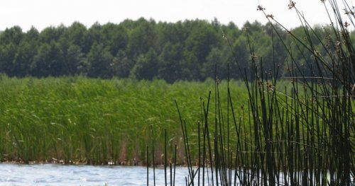 Озеро «Вінець»  у Волинській області