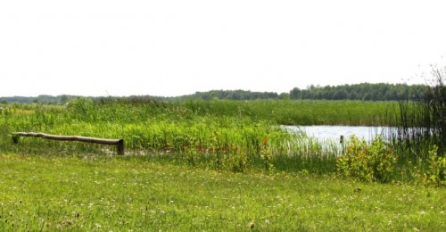 Озеро «Вінець»  у Волинській області