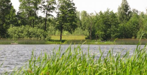 Озеро «Вінець»  у Волинській області