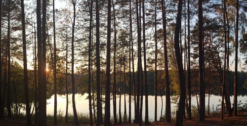 Риболовля на озері  «Засвинське» у Волинській області