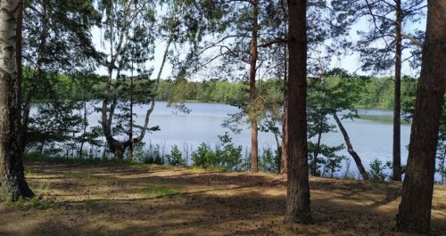 Риболовля на озері  «Засвинське» у Волинській області