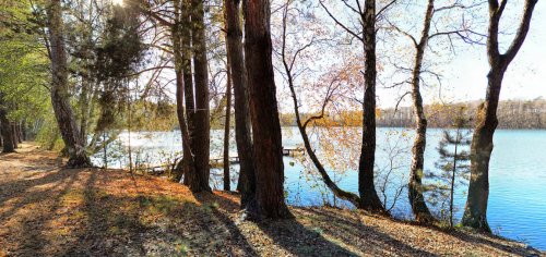 Риболовля на озері  «Засвинське» у Волинській області