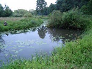 Рыбалка на речке Замчиськ Ровенской области-2