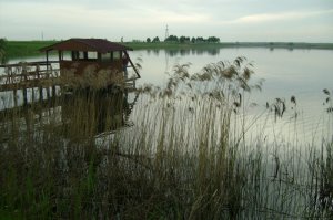 Рибалка на ставці у с. Копачівка Волинської області