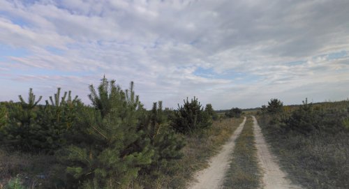 Рибалка на ставці у с. Копачівка Волинської області