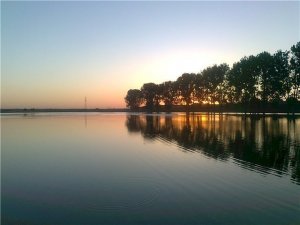 Рибалка на ставці у с. Копачівка Волинської області