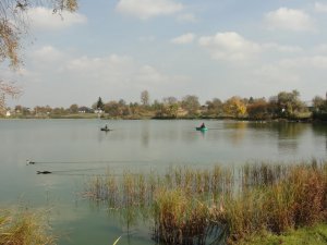Рибалка на ставці у с. Перковичі Волинської області