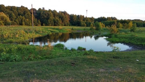 Рибалка біля селища Цумань у Волинській області