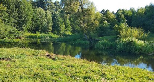 Рибалка біля селища Цумань у Волинській області