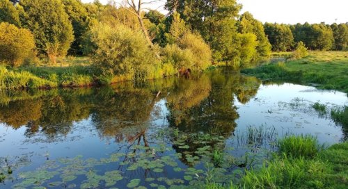 Рибалка біля селища Цумань у Волинській області