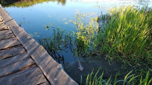 Рибалка біля селища Цумань у Волинській області