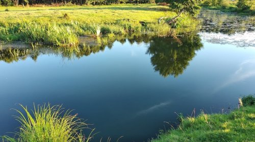 Рибалка біля селища Цумань у Волинській області