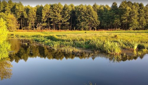 Рибалка біля селища Цумань у Волинській області
