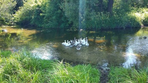 Рибалка біля селища Цумань у Волинській області