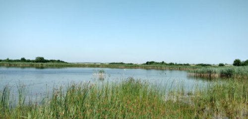 Рибалка біля селища Турійськ у Волинській області