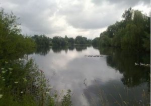 Рыбалка у села Бечаль в Ровенской области-2