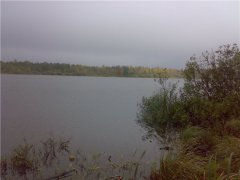 Рыбалка у села Березно в Ровенской области-1