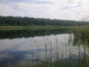 Рыбалка у села Головин в Ровенской области-2