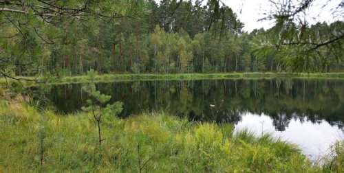 Рибалка біля села Градиськ у Волинській області