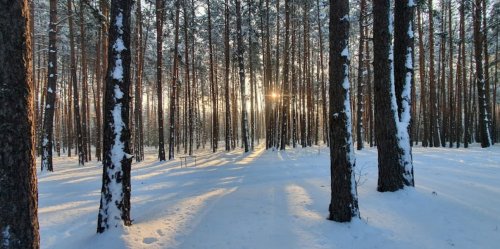 Рибалка біля села Градиськ у Волинській області