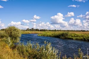 Рыбалка у села Лисин в Ровенской области-3