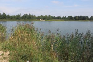 Рыбалка у села Мал. Любаша в Ровенской области-3