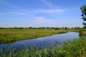 Рыбалка у села Малево в Ровенской области-2