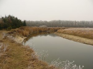 Рыбалка у села Малево в Ровенской области-3