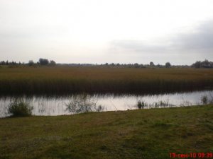 Рыбалка у села Малый Мидск в Ровенской области-1