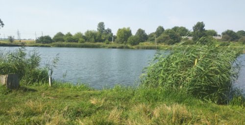 Рибалка біля села Марковичі у Волинській області