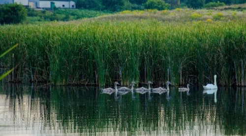 Рибалка біля села Марковичі у Волинській області