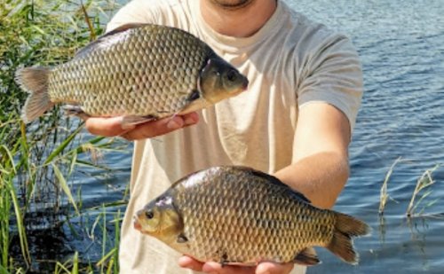 Рибалка біля села Марковичі у Волинській області