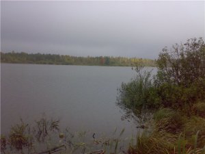 Рыбалка у села Марьяновка в Ровенской области-1