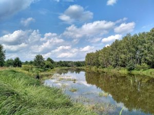 Рыбалка у села на  Деражное в Ровенской области-2