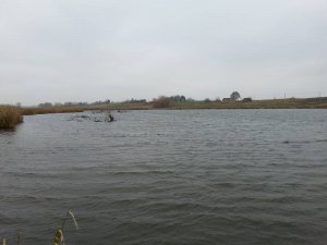 Рыбалка у села Надчицы в Ровенской области-2