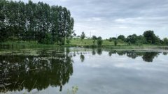 Рыбалка у села Охматков в Ровенской области-1