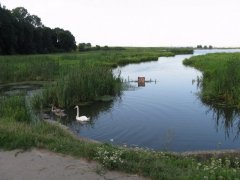 Рыбалка у села Острожец в Ровенской области-1