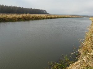 Рыбалка у села Пляшевая в Ровенской области-3