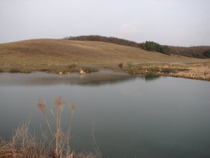 Рыбалка у села Радов в Ровенской области-2