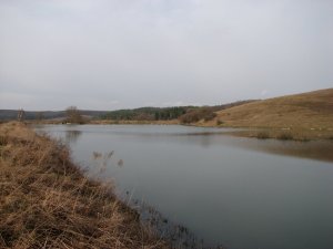 Рыбалка у села Радов в Ровенской области-1