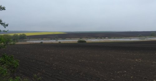 Рибалка біля села Шклинь у Волинській області