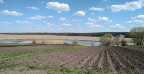 Рибалка біля села Шклинь у Волинській області