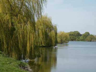 Рибалка біля села Терешківці у Волинській області