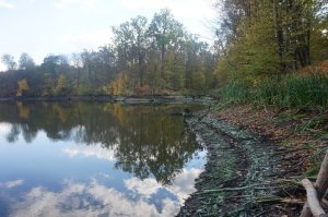 Рыбалка у села Великая Любаша в Ровенской области-2