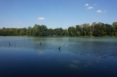 Рыбалка у села Великая Любаша в Ровенской области-1