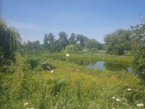 Рыбалка у села Ярославичи  в Ровенской области-1